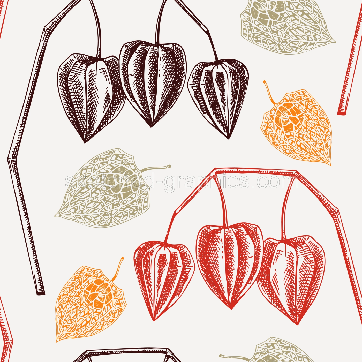 Autumn seamless pattern. Decorative plant sketch. Sketched physalis design. Hand-drawn botanical illustrations in vintage style. Dried plants backdrop. Thanksgiving background Illustration